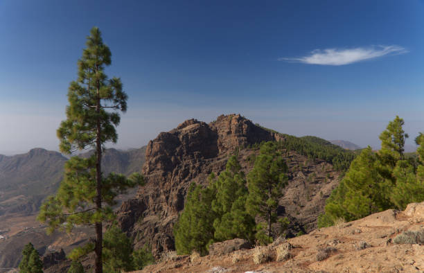 Gran Canaria, central montainous part of the island, Las Cumbres, ie The Summits Gran Canaria, central montainous part of the island, Las Cumbres, ie The Summits, landscapes around Pico de las Nieves, the highest point of the island sea population stock pictures, royalty-free photos & images