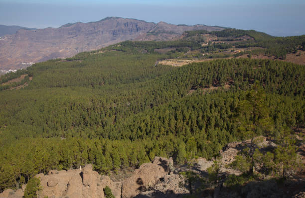 Gran Canaria, central montainous part of the island, Las Cumbres, ie The Summits Gran Canaria, central montainous part of the island, Las Cumbres, ie The Summits, landscapes around Pico de las Nieves, the highest point of the island sea population stock pictures, royalty-free photos & images