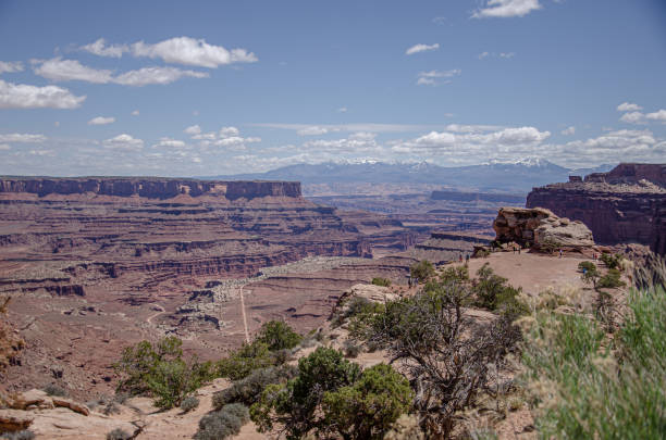 istock Canyonlands National Park 1347535144