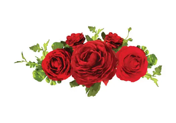 Vector illustration of A bouquet of vintage red roses, created with rose petals and bud flowers. Luxurious and magnificent flowers. Vector design horizontal bouquet.