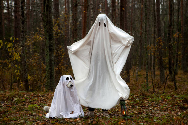 istock Happy Halloween dog with the owner 1347536695