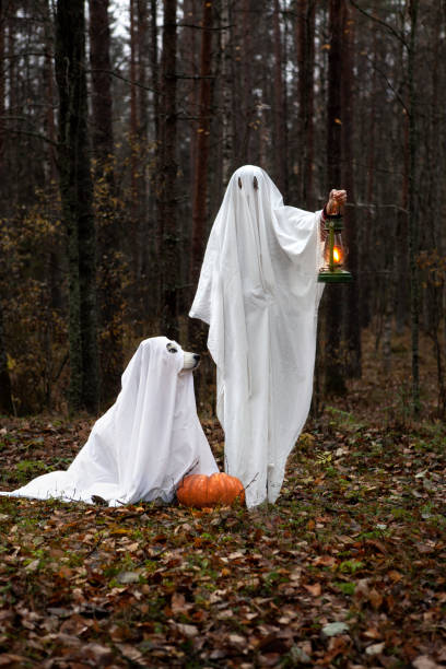 istock Happy Halloween dog with the owner 1347536697