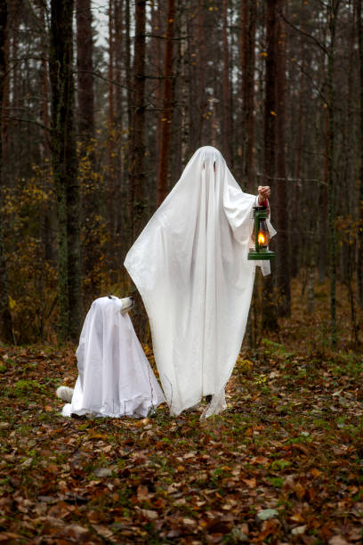 istock Happy Halloween dog with the owner 1347536782