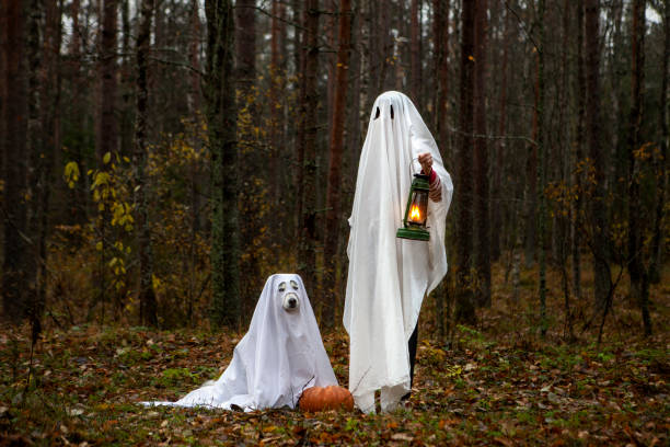 istock Happy Halloween dog with the owner 1347536814
