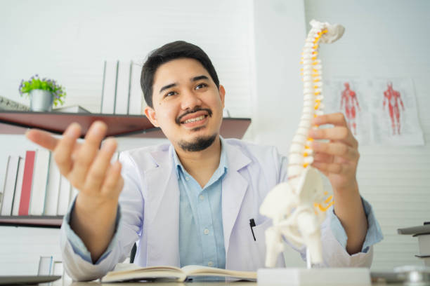 il fisioterapista ravvicinato consiglia e consulta il paziente sulla colonna vertebrale dello scheletro umano per il trattamento o la terapia in ufficio per il concetto di assistenza sanitaria - chiropractor human spine office physical injury foto e immagini stock