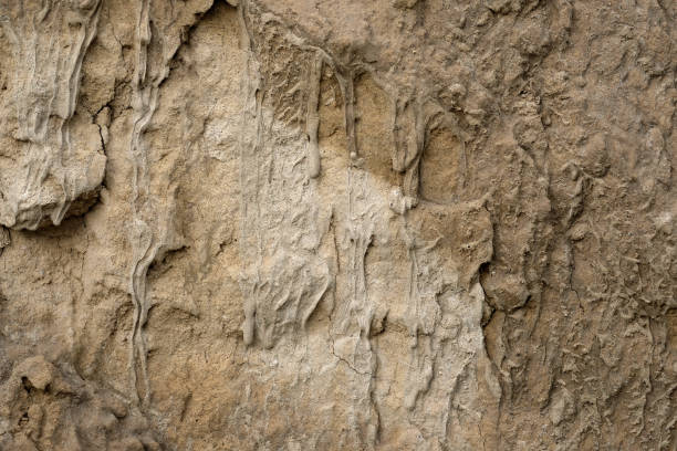 istock soil texture background. dirty grunge texture concrete wall. 1347539270