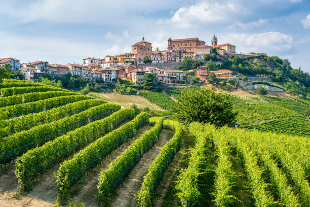 el hermoso pueblo de la morra y sus viñedos en la región de langhe de piamonte, italia. - italia fotografías e imágenes de stock