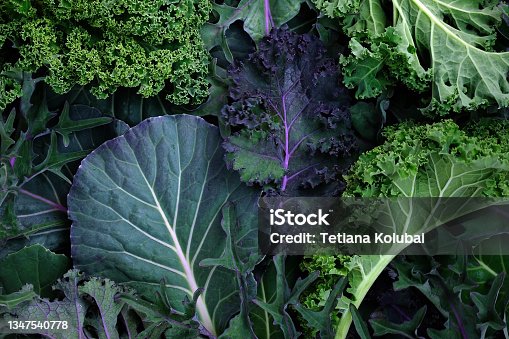 istock Leaves of different sizes and colors close-up. 1347540778