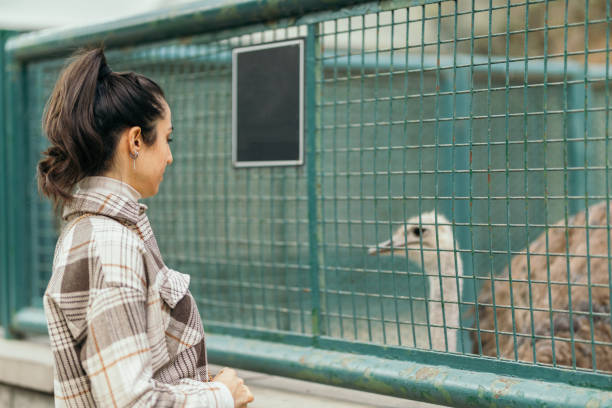 istock Young woman in zoo 1347545363