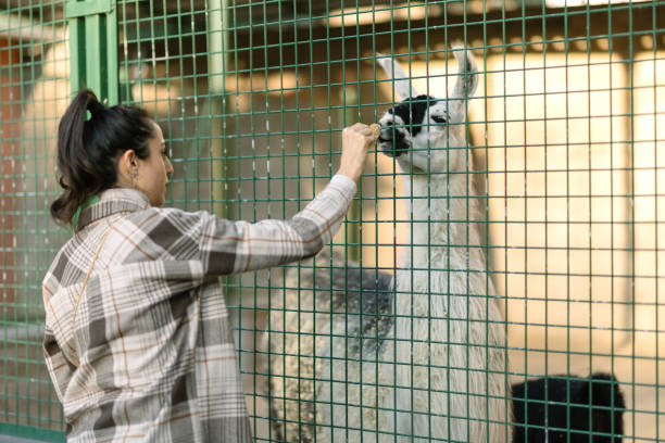 Young woman in zoo