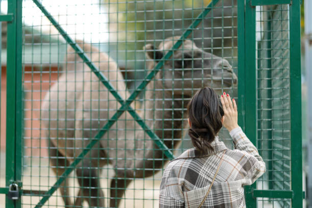 Young woman in zoo