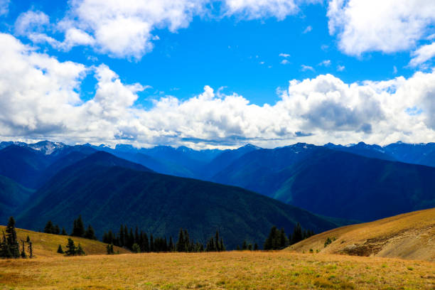 istock Olympic Mountain range, Olympic National Park, Washington, USA. 1347547779