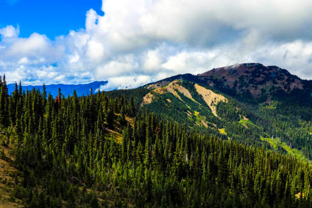 istock Olympic Mountain range, Olympic National Park, Washington, USA. 1347547812