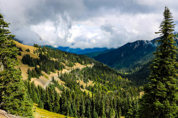 istock Olympic Mountain range, Olympic National Park, Washington, USA. 1347547869