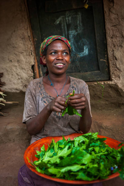 istock Young Ethiopian woman sorting leaves 1347550747
