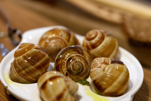 Helix Aspersa Muller snail dish in a restaurant. Edible snails with butter and seasonings. close up