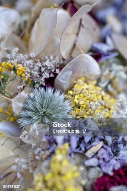 Summer Floral Decoration With Globe Thistle Plant Stock Photo - Download Image Now