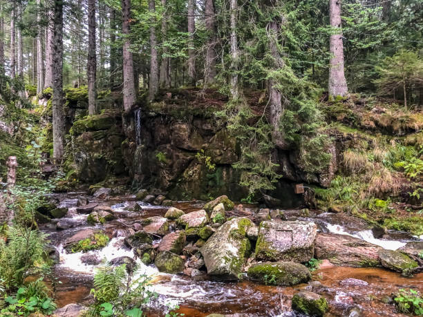 istock A small stony river in the Black Forest. 1347552042