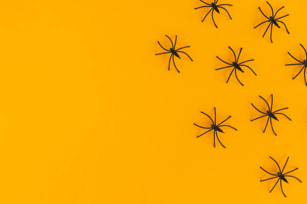 istock Happy Halloween. Spiders flat lay on orange background with space for text. Season's greeting card. Halloween decorations border on yellow paper. Minimalist 1347552255