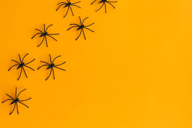 istock Halloween flat lay. Spiders layout on orange background with space for text. Happy Halloween, Season's greeting card. Halloween decorations border on yellow paper. Minima 1347552511
