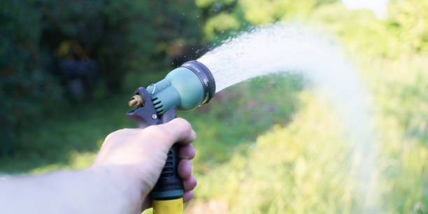 istock gardener watering the garden with Hose nozzle 1347552593