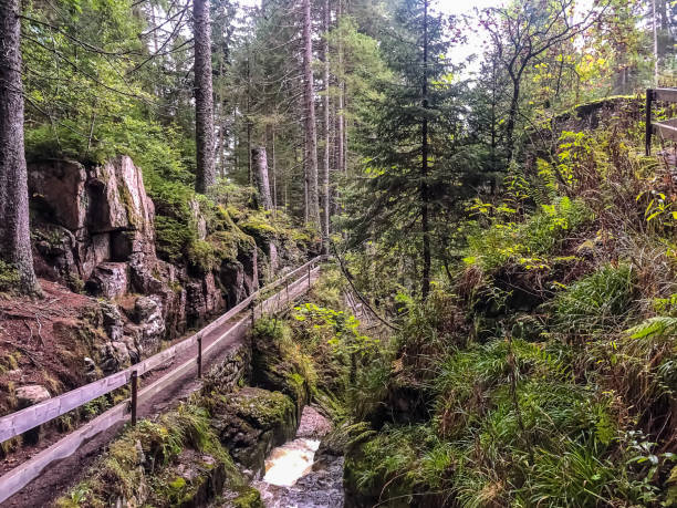 istock A small stony river with waterfalls in the Black Forest. 1347553652