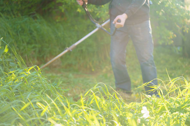 istock man mows grass with trimmer, focus on foreground blurred background 1347554046