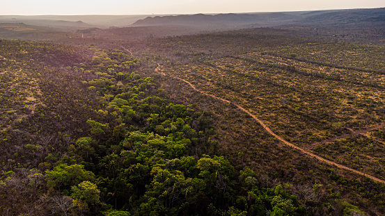 Riparian Zone/ciliary forest surrounding a water course in brazilian savanna (cerrado), Mato Grosso, Brazil.
