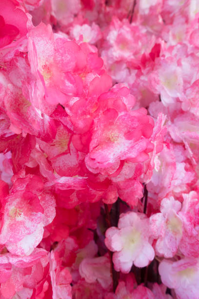 istock Pink Fabric flowers close-up 1347556397
