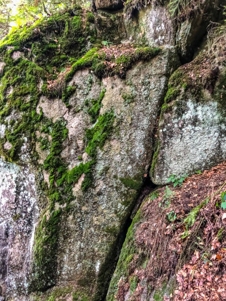 istock A large rock with moss overgrown. 1347556577