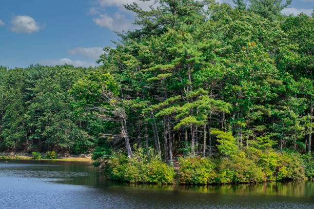 istock paradise pond on a october day 1347556735