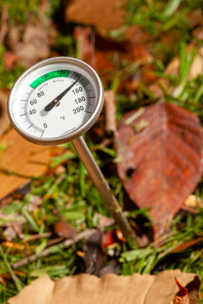 istock thermometer poked into a hot compost pile 1347557544