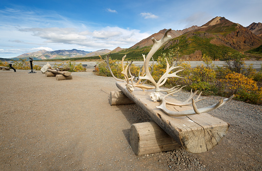 Denali National Park and Preserve encompasses 6 million acres. With terrain of tundra, spruce forest and glaciers, the park is home to wildlife.