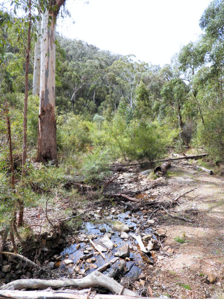 istock Grampians, Victoria, Australia 1347560987