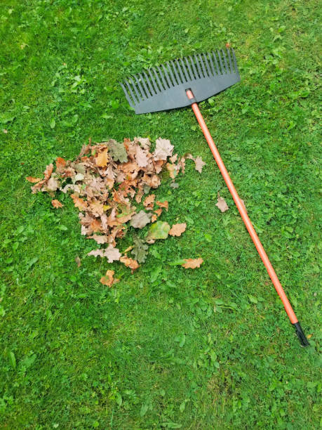 istock Fall leaves with rake on green lawn. 1347561318