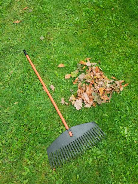 istock Fall leaves with rake on green lawn. 1347561319