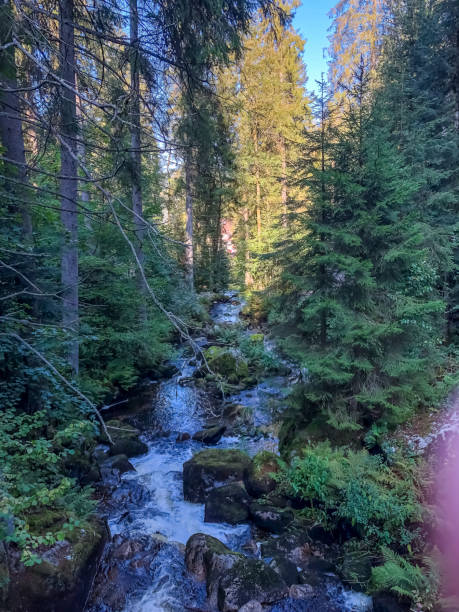 istock A small stony river in the Black Forest. 1347562194