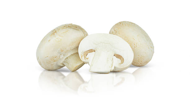 istock Two whole champignons and one in the cut are isolated on a white background 1347565960
