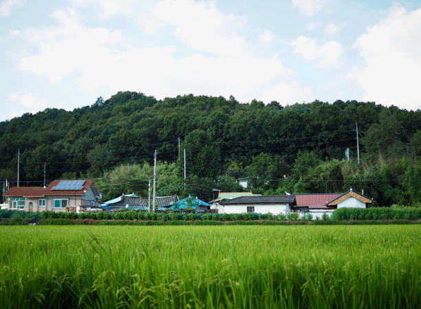 istock Korea countryside, rural, house, landscape 1347569582