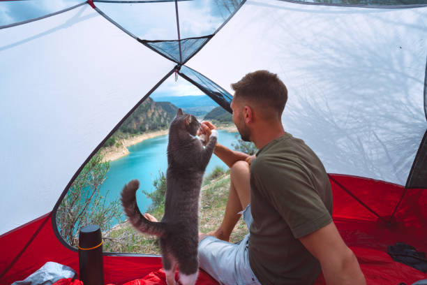 Man spending time with his friendly cat outdoors. Together with true friend. People and pets concept