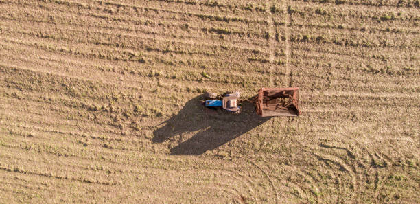 istock Tractor in sugar cane field. 1347576380