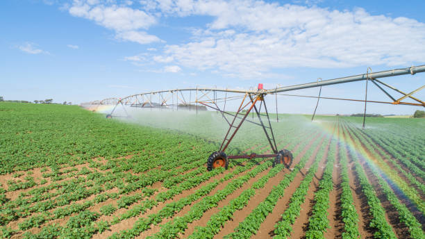 istock Agricultural irrigation system on sunny summer day. 1347576389
