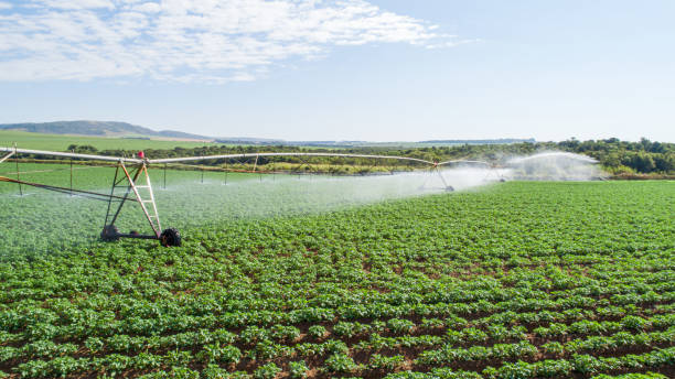 istock Agricultural irrigation system on sunny summer day. 1347576398