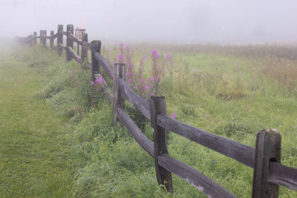 Free Stock Photo of Field With Tall Grass and Wooden Fence | Download ...