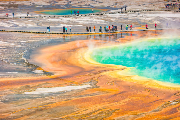 Located in Yellowstone National Park, Wyoming, the largest hot spring in the United States and third largest in the world.  The amazing colors are actually varying species of heat loving microbes in the pools - each having a different color and existing at a different temperature.
