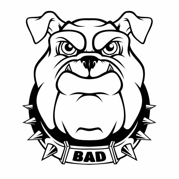 Background Of A Bulldog Tattoo Designs Illustrations, Royalty-Free Vector  Graphics & Clip Art - iStock