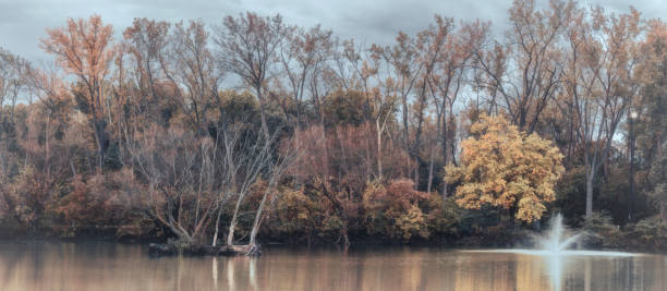 malden park - scena d'autunno - malden foto e immagini stock