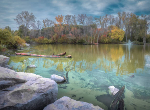 malden park - scena d'autunno - malden foto e immagini stock