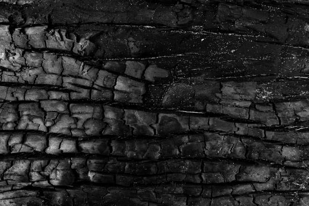 After the fire, burnt tree pattern. After the fire, burnt tree pattern. plant bark photos stock pictures, royalty-free photos & images
