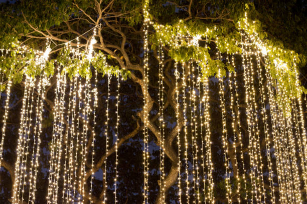 Stunning Hanging Tree Lights Gallery